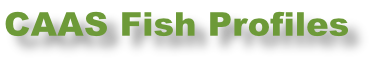CAAS Fish Profiles